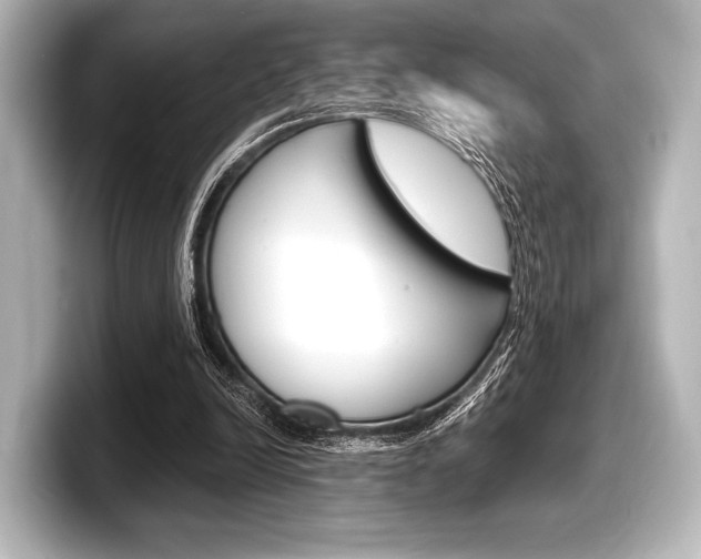 X0000098170246200804241015