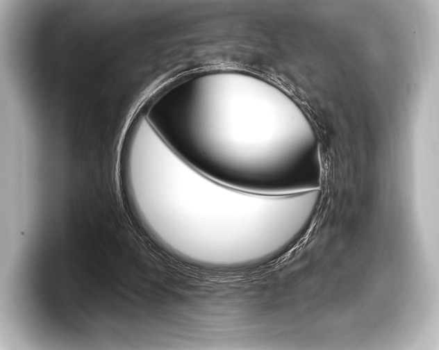 X0000098170248200804241015
