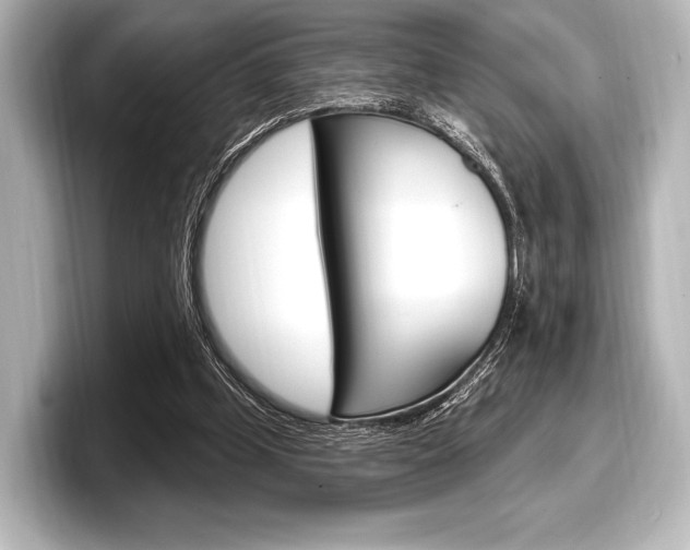 X0000098170249200804241015