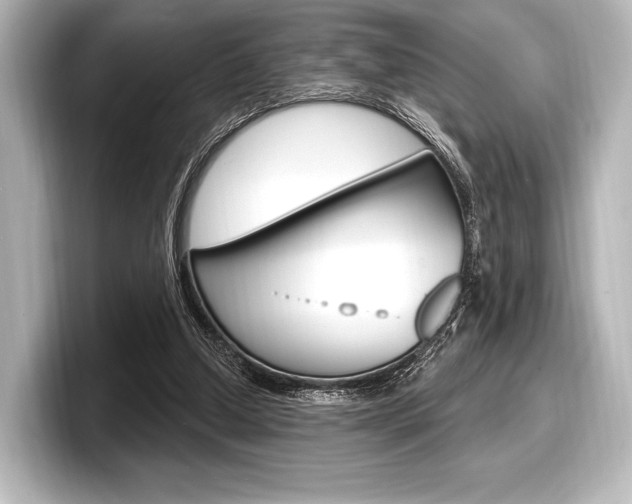 X0000098170250200804241015
