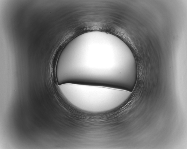 X0000098170251200804241015