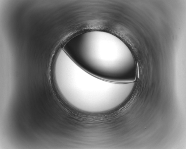 X0000098170252200804241015