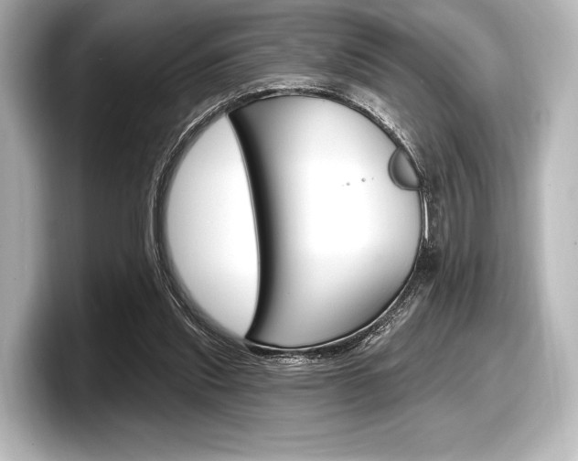 X0000098170253200804241015