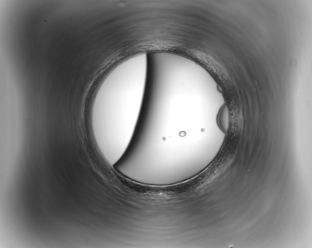 X0000098170254200804241015