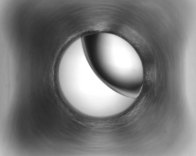 X0000098170256200804241015