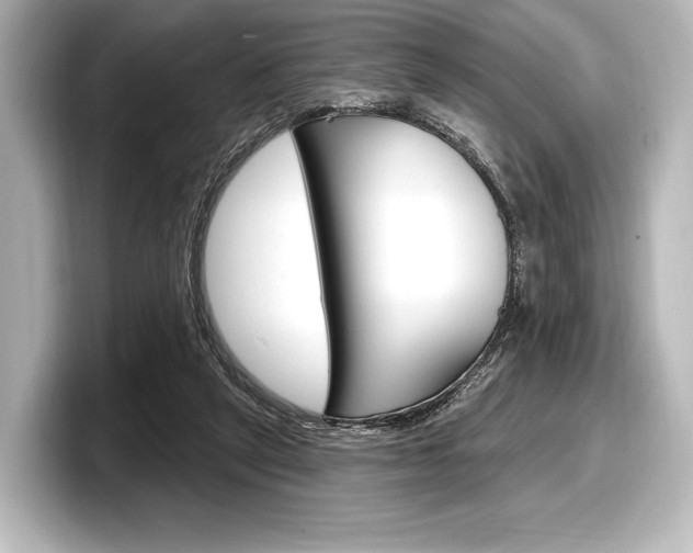 X0000098170257200804241015