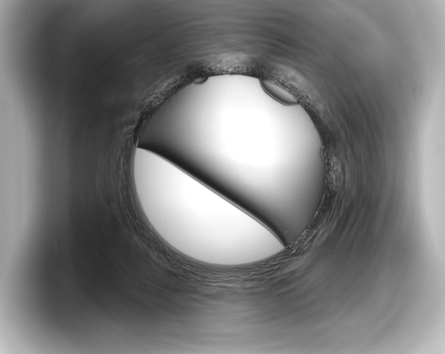X0000098170259200804241016