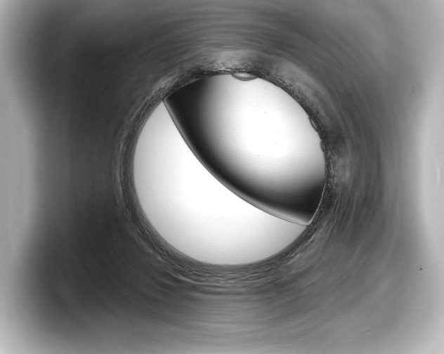 X0000098170260200804241016