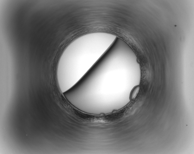 X0000098170262200804241016