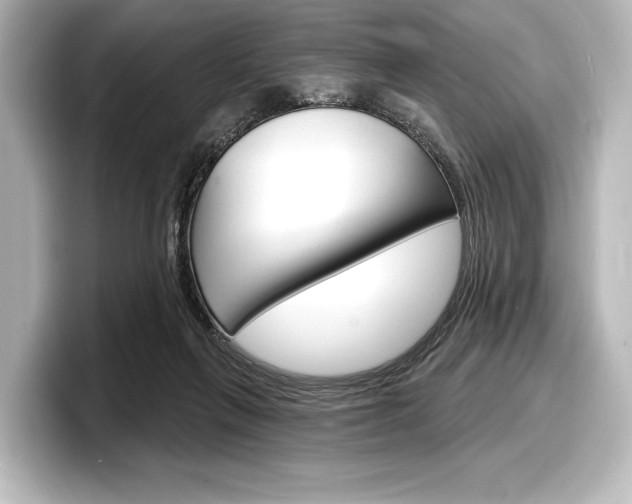 X0000098170263200804241016