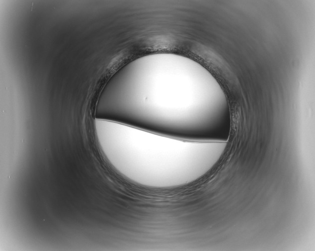 X0000098170264200804241016