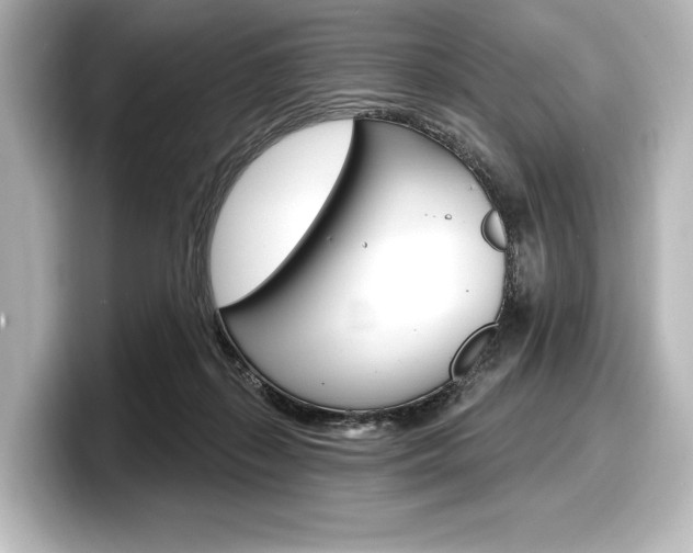 X0000098170267200804241016
