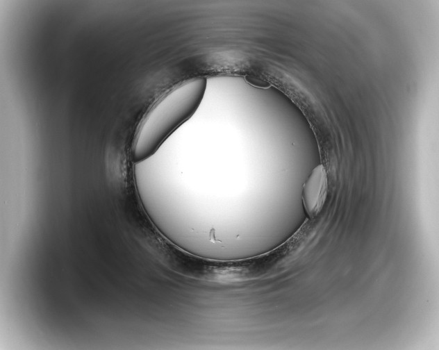 X0000098170268200804241016