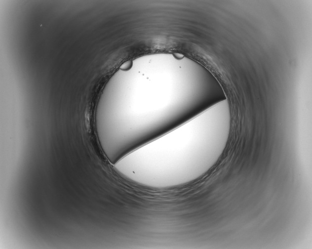 X0000098170269200804241016