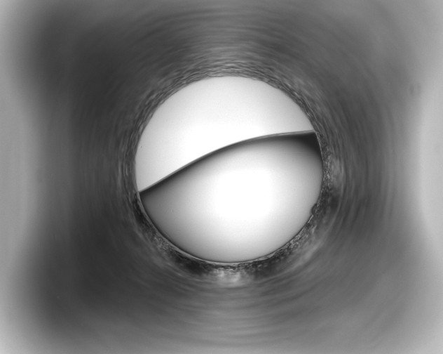 X0000098170272200804241016