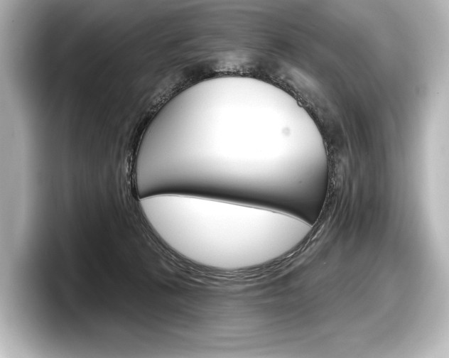 X0000098170273200804241016