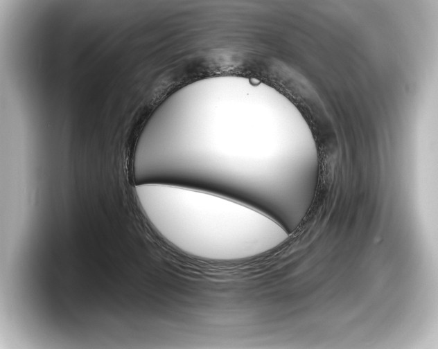 X0000098170274200804241016