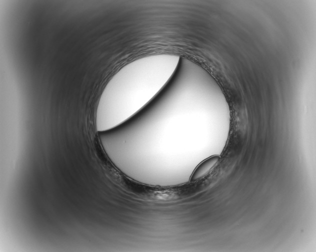 X0000098170275200804241016
