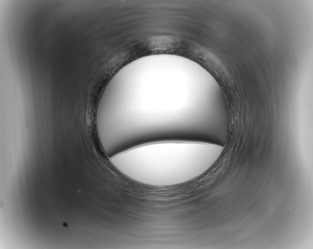 X0000098170277200804241016