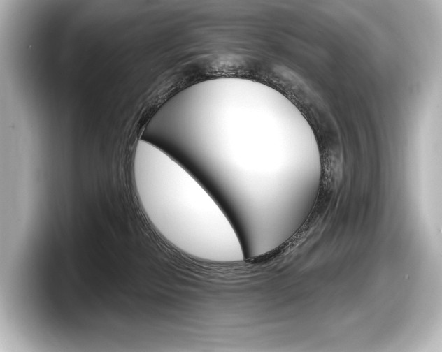 X0000098170278200804241016