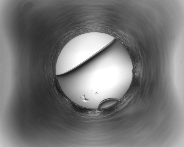 X0000098170279200804241016