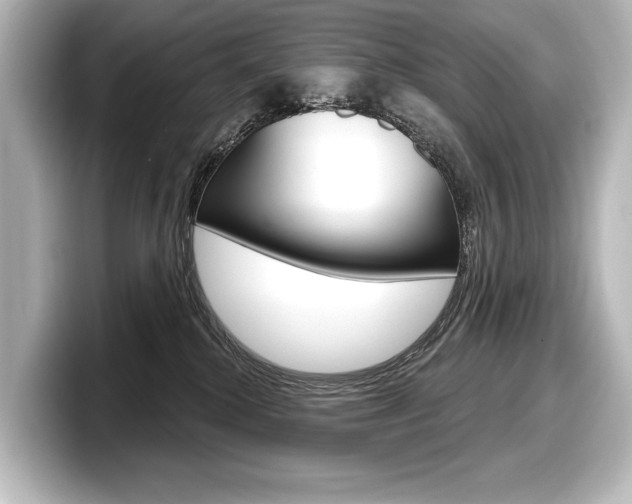 X0000098170280200804241016