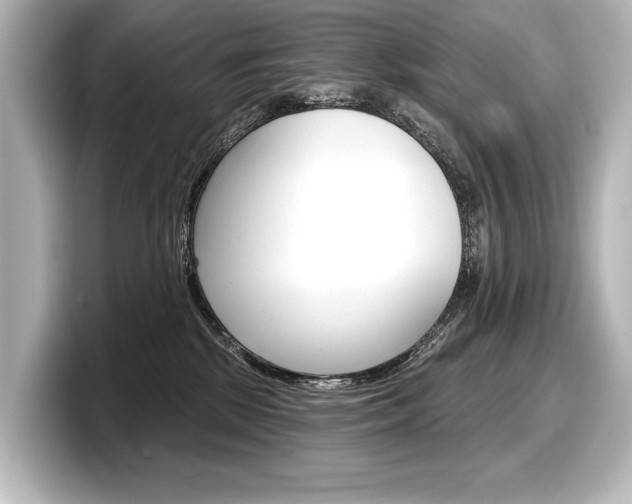 X0000098170281200804241016