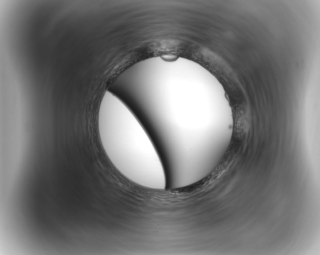 X0000098170282200804241016