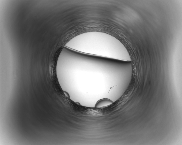 X0000098170283200804241016