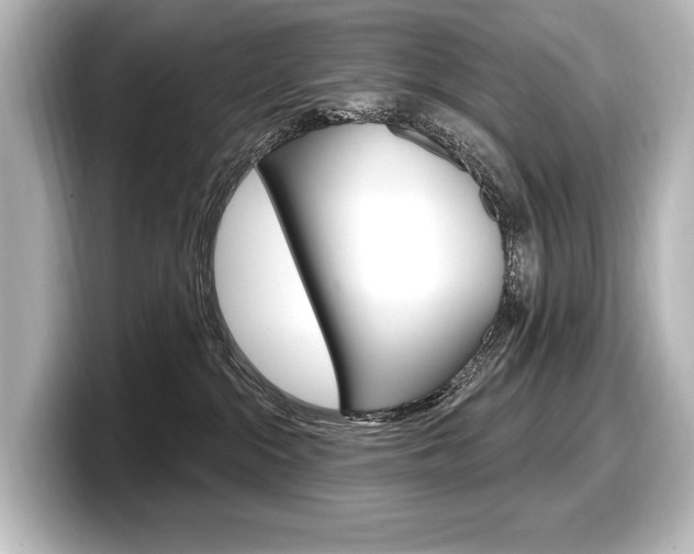 X0000098170284200804241016