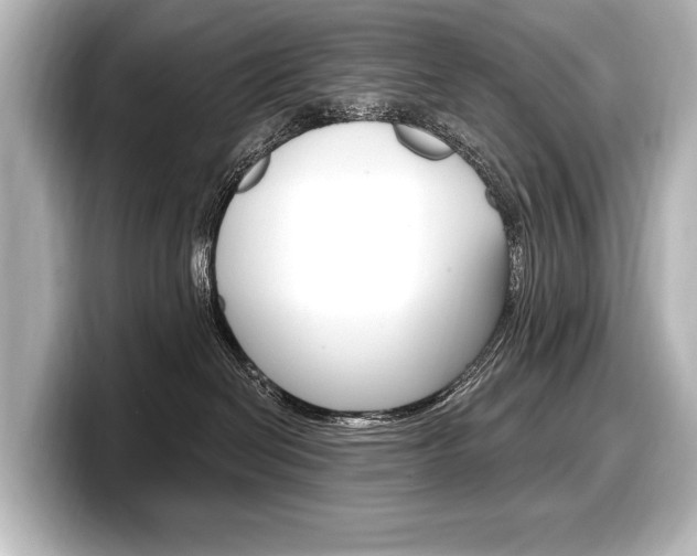X0000098170286200804241016
