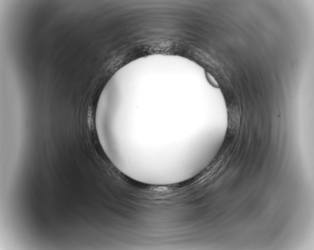 X0000098170287200804241016