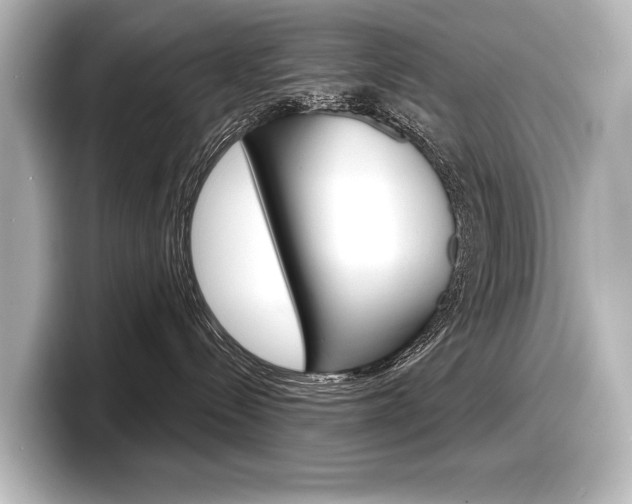 X0000098170288200804241016