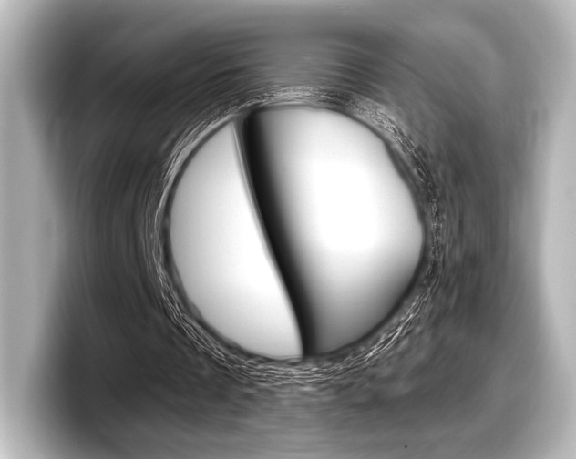 X0000098170289200804241015