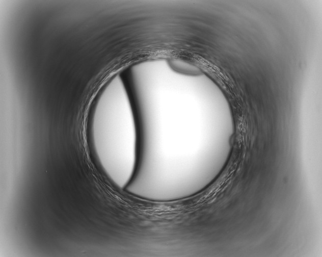 X0000098170290200804241015