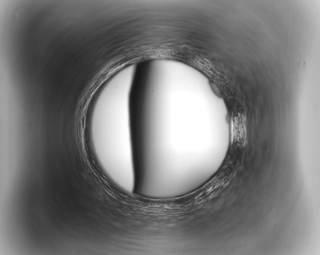 X0000098170291200804241015
