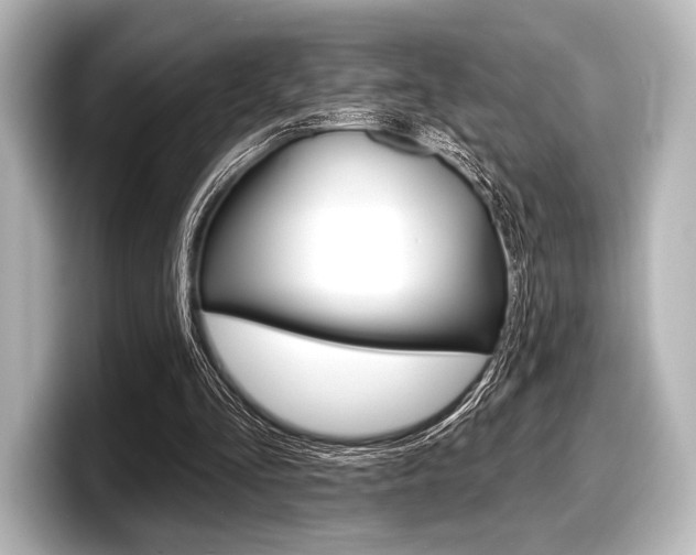 X0000098170293200804241015