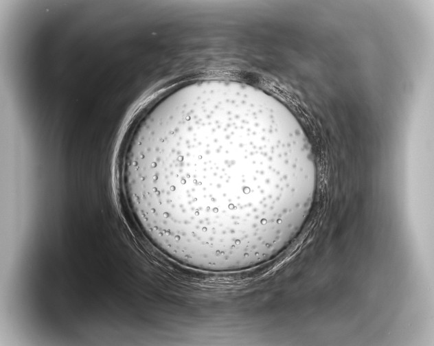 X0000098170294200804241015