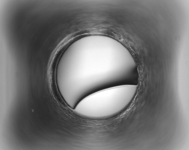 X0000098170295200804241015