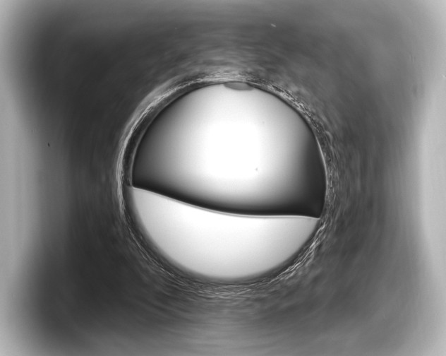 X0000098170296200804241015