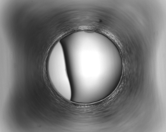X0000098170297200804241015