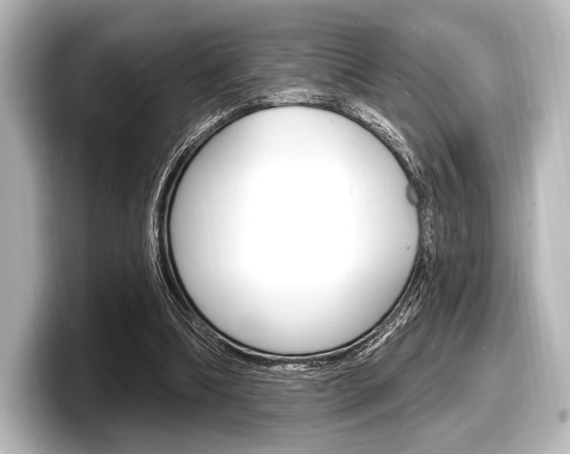 X0000098170298200804241015