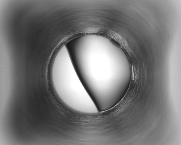 X0000098170300200804241015