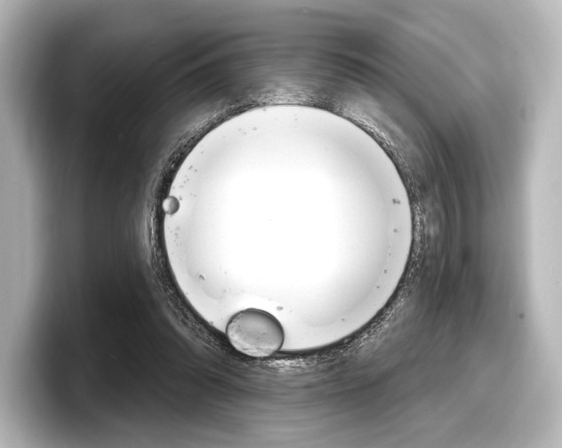 X0000098170302200804241015