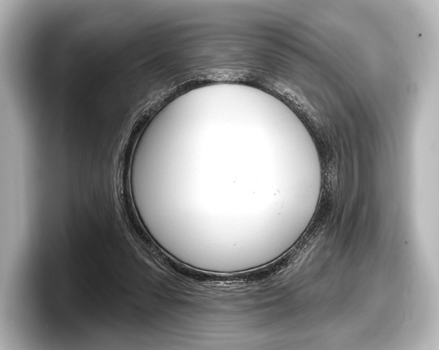 X0000098170303200804241015