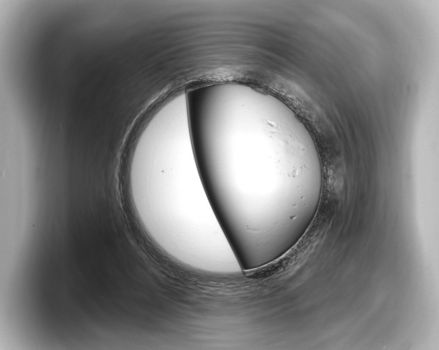 X0000098170304200804241015