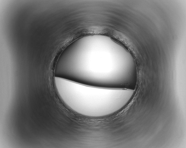 X0000098170305200804241015