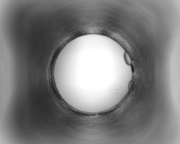 X0000098170306200804241015