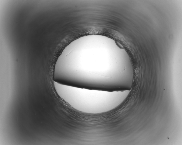 X0000098170307200804241015