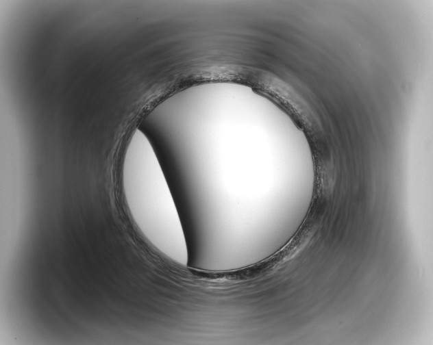 X0000098170309200804241015